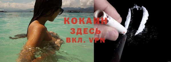 эйфоретик Вяземский