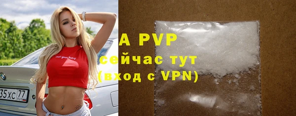 эйфоретик Вяземский