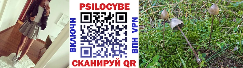 Псилоцибиновые грибы Psilocybine cubensis  как найти закладки  Москва 